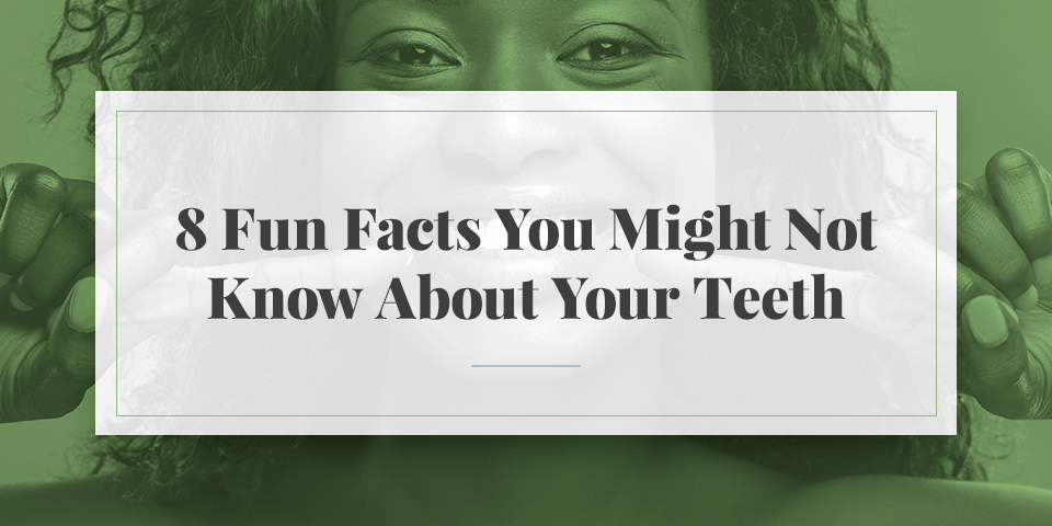 8 Fun Facts You Might Not Know About Your Teeth 209 Nyc Dental