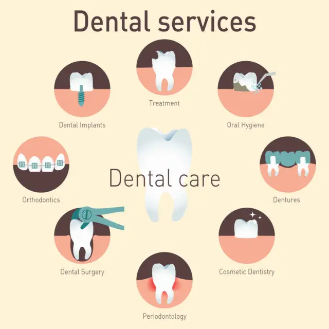 A graphic design detailing the main types of dental services